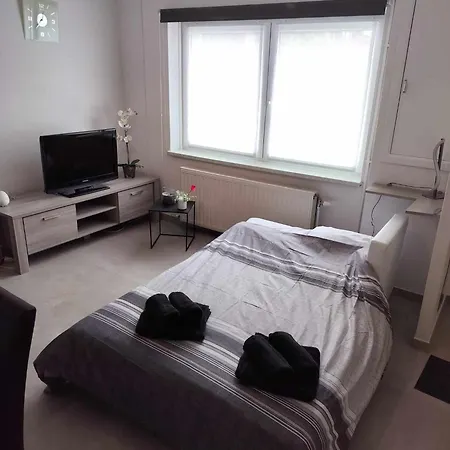 Appartement Maison Cosy 4 Personnes, Proche De Charleroi